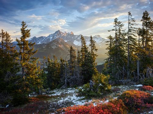 Sunrise at Rossbrand I