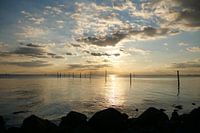 Ijsselmeer avec des poteaux-pièges