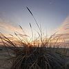 Coucher de soleil sur Ameland sur Rinnie Wijnstra (FotoAmeland )