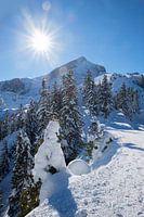 uitzicht vanaf het skigebied Kreuzeck Garmisch, op de berg Alpspitze 