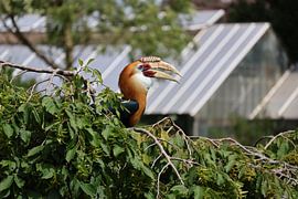 Tiere und Natur von Lennart Mans