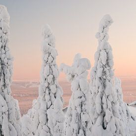 Iso Syöte - Finland - Lapland van Erik van 't Hof