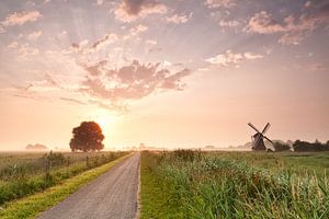 Dutch rural beauty von Olha Rohulya