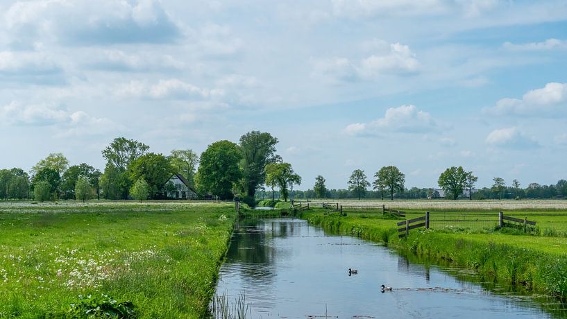 Jonkerspad Zevenhuizen Westerkwartier Groningen von R Smallenbroek