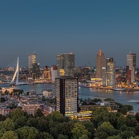 Erasmusbrug sur Henk Smit