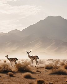 Adventure in Namibia