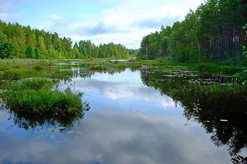 Zweeds landschap 010 van Geertjan Plooijer