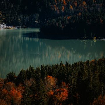 Sylvensteinsee lake in autumn, Isarwinkel