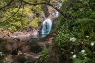 Rha Wasserfälle, Isle of Skye von Roelof Nijholt Miniaturansicht