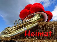 De tuba en de Bollenhut - Homeland