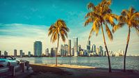 miami, florida by Frank Peters thumbnail