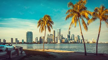 miami, florida by Frank Peters