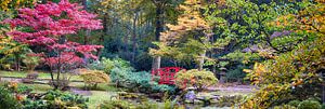 l'automne dans un parc japonais sur Ariadna de Raadt-Goldberg