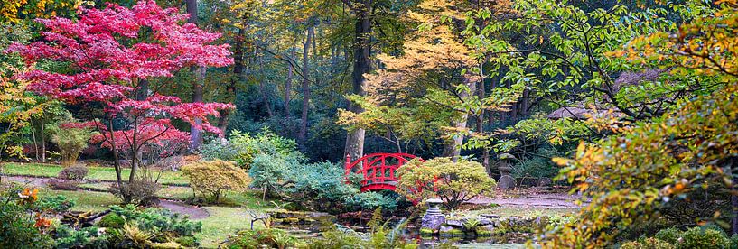 l'automne dans un parc japonais par Ariadna de Raadt-Goldberg