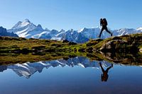Bernese Oberland