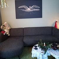 Photo de nos clients: le cygne par Petra Vastenburg, sur toile