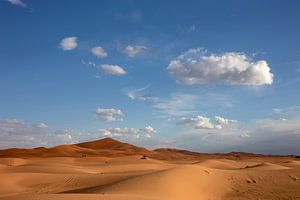 Mooie zandduinen onder dramatische hemel bij het landschap van de droogtewoestijn, Afrika