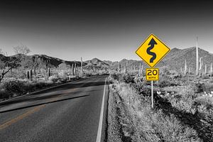 SAGUARO NATIONAL PARK Bajada Loop Drive van Melanie Viola