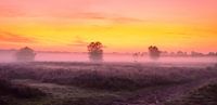 Zonsopkomst