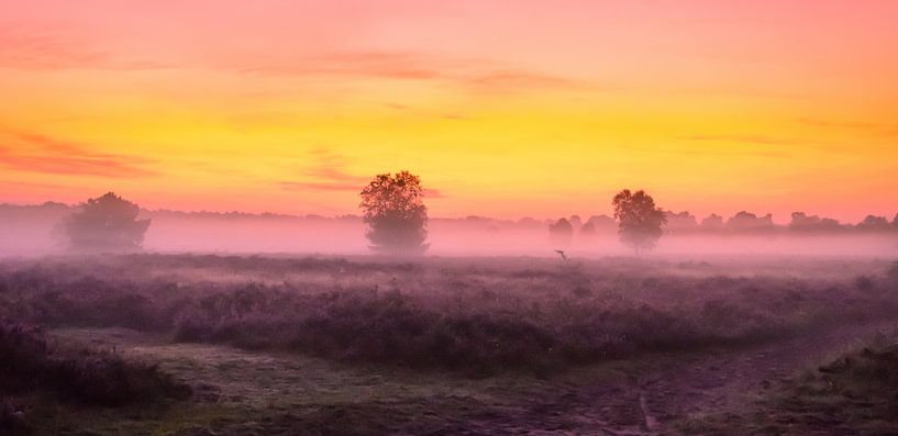 Zonsopkomst van Edwin Fennema