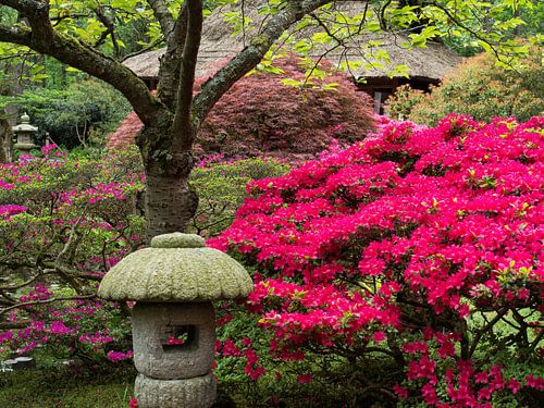 Japanischer Garten IV
