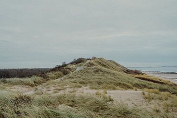 Duinen Zeeland in de winter van Deborah Hoogendijk - de Does