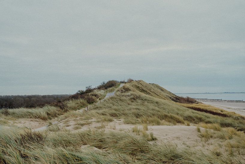 Dunes de Zélande en hiver par Deborah Hoogendijk - de Does