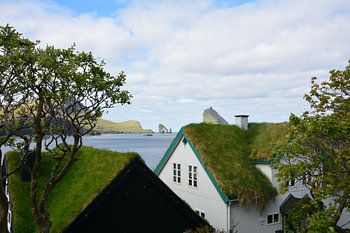 Die begrünten Dächer von Bøur