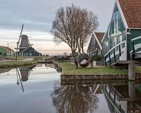 Zaanish houses