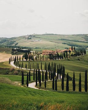 Val D'Orcia in Italien von Dayenne van Peperstraten