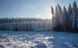 Kahler Asten, Sauerland, Allemagne sur Alexander Ludwig