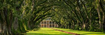 Oak Alley Plantation panorama