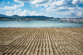 lijnwerk op het strand