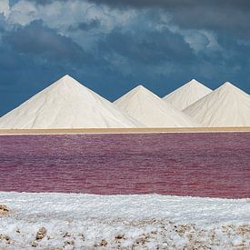 The Salt Hills of Bonaire van Martyn Buter