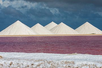 Die Salzhügel von Bonaire von Martyn Buter