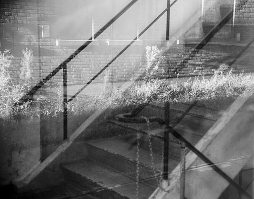 Reflet dans le verre d'une ancienne cage d'escalier sur Zaankanteropavontuur
