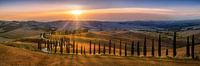 Toscane landschap met velden, cipressenpad en heuvellandschap bij zonsondergang