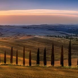Tuscany landscape with fields, cypress path and hilly landscape at sunset by Voss photography