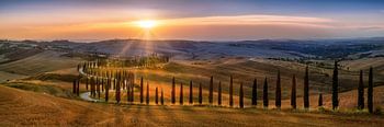 Tuscany landscape with fields, cypress path and hilly landscape at sunset