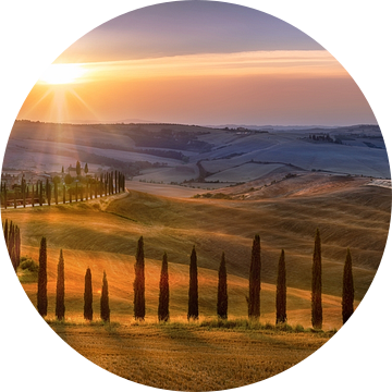 Toscane landschap met velden, cipressenpad en heuvellandschap bij zonsondergang van Voss fotografie