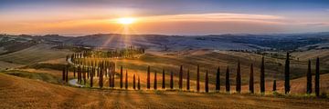 Toscane landschap met velden, cipressenpad en heuvellandschap bij zonsondergang van Voss fotografie