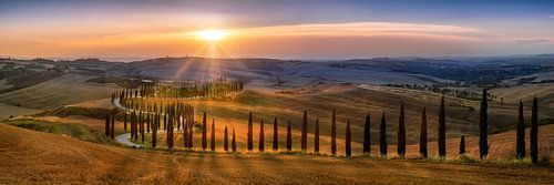 Toscane landschap met velden, cipressenpad en heuvellandschap bij zonsondergang van Voss fotografie