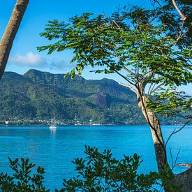 De baai van Beau Vallon van Peter Baier