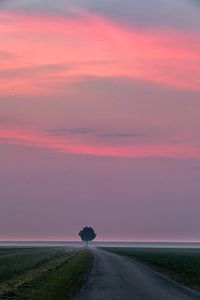 Sonnenaufgang im Norden von Groningen, Niederlande von Henk Meijer Photography