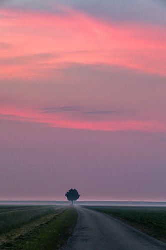 Zonsopkomst in het noorden van Groningen, Nederland
