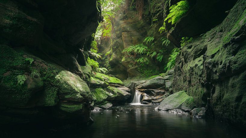 Course by Tim Newnham Photography