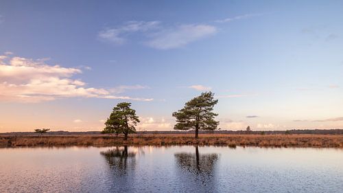 Sonnenuntergang im Nationalpark Dwingelderveld
