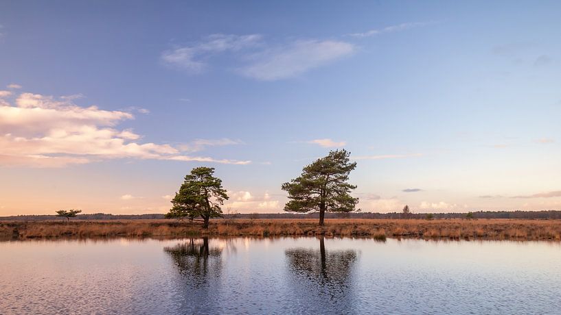 Sunset in the Dwingelderveld National Park by Menno Schaefer