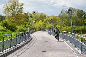 Hangbrug over de Elbe naar het Herrenkrugpark in Maagdenburg van Heiko Kueverling