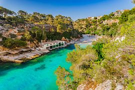 Beautiful beach of Cala Pi bay on Mallorca, Spain by Alex Winter
